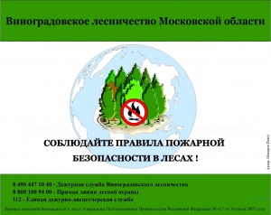 Весенний пик возникновения лесных пожаров