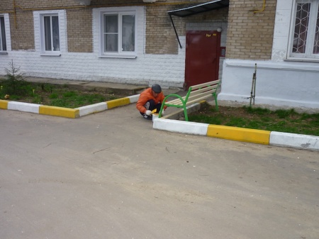 Покраска бордюров