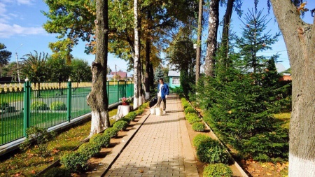 Помощь по благоустройству храма